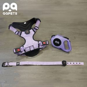 QQPETS Luxury LED Light-Up 3 piezas <span class=keywords><strong>Collar</strong></span> de perro Correa Arnés Set Custom Night Pet Walks Estilo de moda Transpirable Nylon Goma - Product Image 1