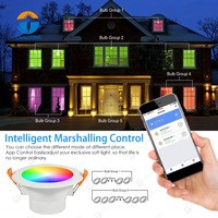 Lumière LED à changement de couleur Design d'intérieur Smart RGB Downlight 5W 7W 9W 12W 16W Dimmable CCT LED Down Lighting avec Alexa Tuya APP