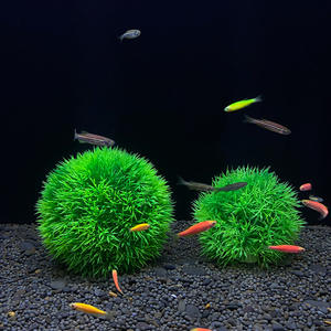 Fournitures de réservoir de poissons décoration d'<span class=keywords><strong>aquarium</strong></span> boule d'herbe <span class=keywords><strong>aquarium</strong></span> simuler plante <span class=keywords><strong>aquarium</strong></span> poisson jouet paysage écologique - Product Image 3