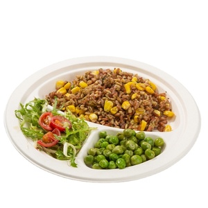 <span class=keywords><strong>Vaisselle</strong></span> jetable 100% biodégradables et écologiques, assiettes à usage unique en Fiber de sucre, 2/ 3 compartiments - Product Image 1
