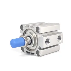Small Equipment Accessories SDA Type Bore 25mm Stroke 5/10/20/25/30/40/50/55/60/65/100mm Double Acting SDA25 Compact Air Pneumatic Piston Cylinder Female 