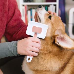 Spazzole per capelli retrattili spazzola per massaggio da bagno per animali domestici cucciolo cane gatto pettini per la pulizia in plastica rimuove efficacemente i peli galleggianti - Product Image 5