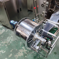 Machine d'emballage entièrement automatique pour sachets de thé non tissés avec étiquette à cordon, capable de remplir l'azote pour préserver la fraîcheur