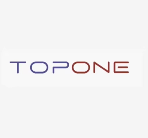 Hainan Topone Technology Co., Ltd. logo