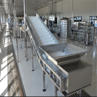 Industriële Productielijn Voor Ingeblikte Fruitverwerkingsmachines Voor Papaja-Ananassap Groente-En Fruitmachines