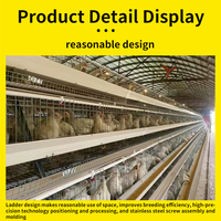 Équipement d'élevage de poules pondeuses de type A/H à prix abordable et de qualité supérieure – Cages à poulets pour fermes avicoles