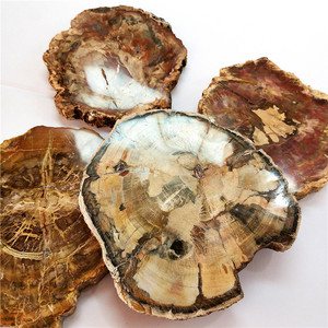 Diapositives de bois naturel poli, 100 pièces, spécimen en pierre brute, pièce de bois pétrifié, offre spéciale - Product Image 3