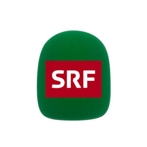 Filtro Antipop de Espuma para Micrófono con Logo Personalizado, Cubierta con Marca Impresa, Pantalla Antiviento para Entrevistas Compatible con <span class=keywords><strong>RODE</strong></span> <span class=keywords><strong>Wireless</strong></span> <span class=keywords><strong>GO</strong></span> II - Product Image 4
