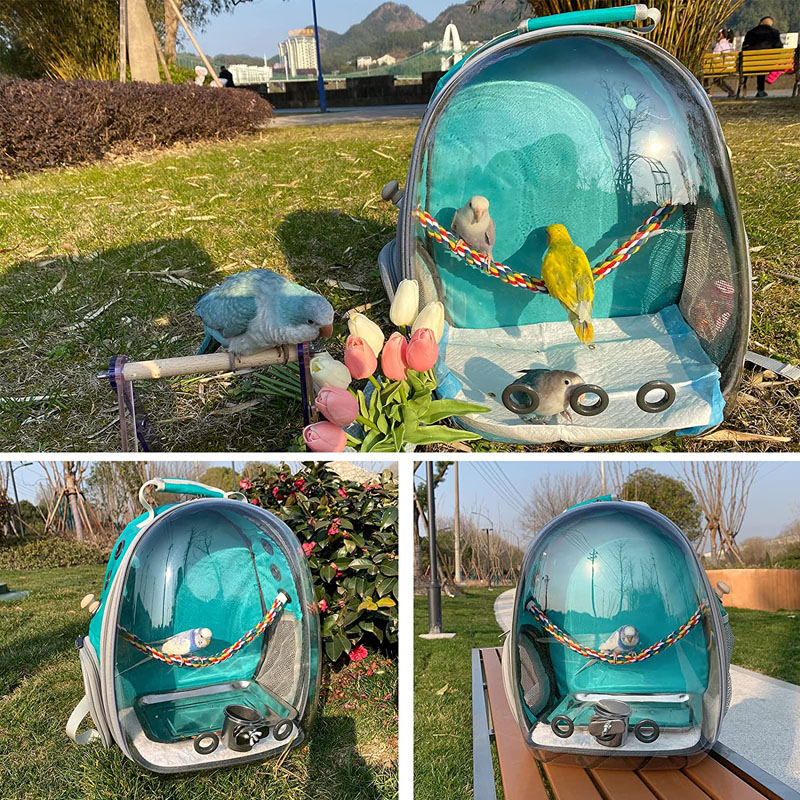 travel case big bird