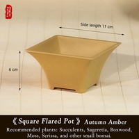 Pot de fleurs carré en résine de style chinois avec plusieurs trous de drainage, jardinière pour usage domestique pour les plantes succulentes, les cactus, les bonsaïs
