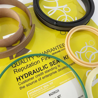 Kit de joints hydrauliques de haute qualité Sanping Brand 84259223 en PU NBR pour excavatrice Case
