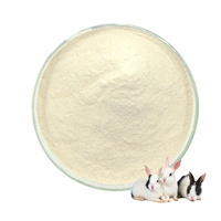 Bactéries probiotiques additifs probiotiques poudre bacillus coagulans pour crevettes
