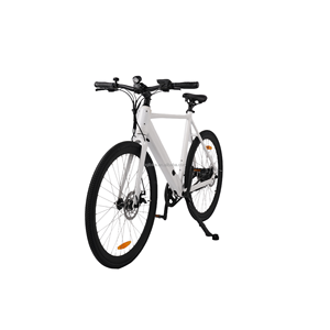 OEM Thiết Kế Cổ Điển Điện Xe Đạp Đường Ebike 48V 250W Ổ Đĩa Vành Đai Xe Đạp Điện Nội Bộ Biến Tốc Độ Sẵn Sàng Để Tàu Trong Kho - Product Image 3