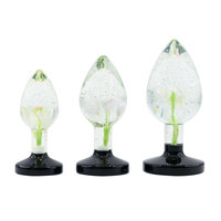 Plug anal en résine transparente avec fleurs séchées pour hommes et femmes, pour dilatation anale, flirt, masturbation, stimulation, jouets sexuels
