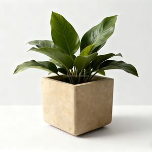 Juego de 3 Macetas Modernas de Estilo Europeo en Gris Camel, Ligeras y Ecológicas para Jardín, Hogar, Flores, Macetas de MGO para Exteriores, para Balcón y Piscina - Product Image 6