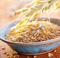 Poudre de bêta-glucane d'avoine certifiée Halal et Casher, soluble dans l'eau, extrait d'avoine en poudre, additif alimentaire, matière première pour soins de la peau avec COA