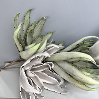 C-338 Style européen grandes fleurs en mousse EVA Simulation de feuille de glaïeul pour décor de salle de mariage PE fleurs modèle d'arrangement floral