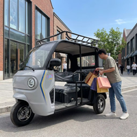 Nouveau mini tricycle électrique à 3 places à faible vitesse pour seniors, véhicule électrique pour adultes, véhicule de transport pour personnes âgées, transport de marchandises à domicile