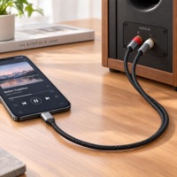 Câble audio blindé haute fidélité, USB Type-C vers double RCA, connecteurs plaqués or, compatible avec les appareils Apple et Android