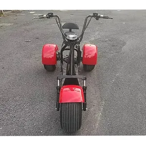 Sale in bulk fat tire electric scooter 2000w 60v three wheel citycoco motorcycle