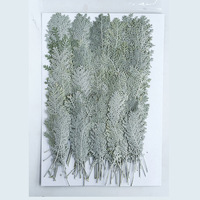 Feuilles de fleurs séchées naturelles pressées en gros pour l'artisanat DIY, feuilles séchées argentées à tiges multiples