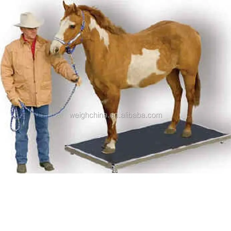 Bilancia per cavalli pesanti, bilancia veterinaria