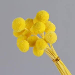 20 pièces/lot Fleurs <span class=keywords><strong>de</strong></span> bouton séchées naturelles colorées DIY Arrangements floraux Diplôme Fleurs réelles conservées longue durée - Product Image 6