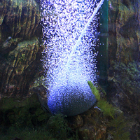 En stock, diffuseur d'air semi-sphérique, pierre à bulles d'air, boule d'oxygène, diffuseur d'aération pour aquarium, réservoir de poissons, disque d'aération pour bassin