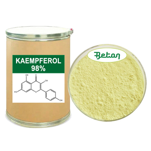 Pó de <span class=keywords><strong>Kaempferol</strong></span> Puro de Alta Qualidade CAS NO 520-18-3 Extrato de Sophora Japonica 50%-98% Suplemento em Pó de <span class=keywords><strong>Kaempferol</strong></span> - Product Image 1