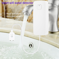 Vanne Tuya WIFI en acier inoxydable DN15 1/2'' avec 2 capteurs d'eau pour le contrôle du volume d'eau et l'arrosage programmé