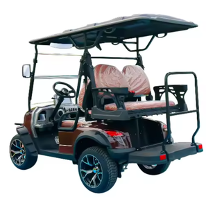 Carrito de golf con energía solar HKBG Carritos de golf personalizables - Product Image 5