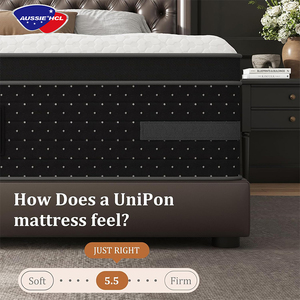 Phật sơn nhà máy chỉnh hình hỗn hợp nệm phòng ngủ đồ nội thất vua nữ hoàng Kích thước bộ nhớ bọt độc lập Túi mùa xuân nệm - Product Image 2