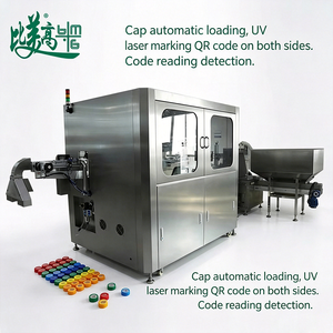 Máquina automática de marcado láser para la trazabilidad de tapas de botellas con asociación de datos Chestny Znak y rechazo de defectos - Product Image 6