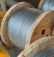 Alambre de Acero Galvanizado Recubierto de Zinc de 7/1.04 mm y 7/1.57 mm (3/16'') para Invernaderos en Colombia y Ecuador