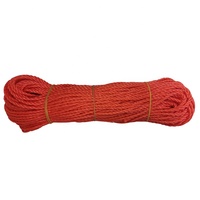 Corde à linge multifonctionnelle double et flexible en nylon coloré, écologique, durable, réglable, moderne, pour camping en extérieur, 10m 20m