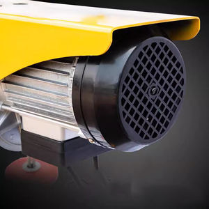 Diskon besar kerekan <span class=keywords><strong>MINI</strong></span> elektrik <span class=keywords><strong>HOIST</strong></span> mikro elektrik pa250 pa500 pa1000 - Product Image 2