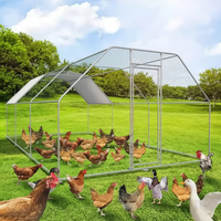 Vente en gros Nouveau Grand enclos à poules extérieur en métal de type A 6*3*2m, accessible à l'intérieur, pour élevage de poulets, avec longue durée de vie