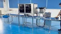 Automatische 4-kops weegschaal met enkelvoudige bak, tel- en verpakkingsmachine voor gedroogd fruit, dadels, rozijnen, gemengde trays en doosverpakkingen