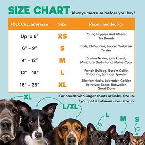 KINYU 부드러운 애완 동물 복구 콘 칼라 개와 고양이를위한 보호 풍선 고리 - Product Image 4