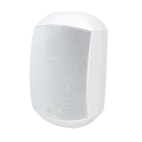 Paire d'enceintes murales étanches pour intérieur et extérieur avec TWS 5.1 et amplificateur de classe D pour enceinte murale audio Bluetooth