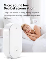 Diffuseur d'arômes portable électrique sans eau personnalisé pour la maison et l'hôtel, avec télécommande, rechargeable, à fixer au mur
