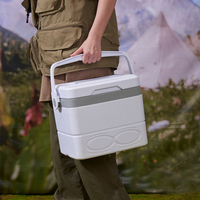 8L Pique-nique BBQ EPS Mousse Petite Glacière Glacière Portable en Plastique avec Serrure