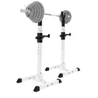 Rack de musculation commercial pliable en acier moderne pour presse à banc et squats