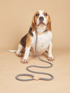 Nylon <b>Dog</b> <b>Leash</b> Gray Color Hands Free Simple Style With Snap Hook Reflective Decoration - Product Image 4