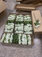 3 Tangkai Bunga Viburnum Hydrangea Buatan 67cm Batang Panjang Kain Karet Bunga Bola Salju Palsu untuk Vas Pernikahan Hotel Dekorasi Bunga Rumah