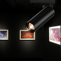 Luces LED Modernas de 9W para Riel, Chip COB, Multiprotocolo, Regulable, Alto CRI 95, Aluminio, para Museos, Galerías de Arte, Salas de Exposiciones, Oficinas