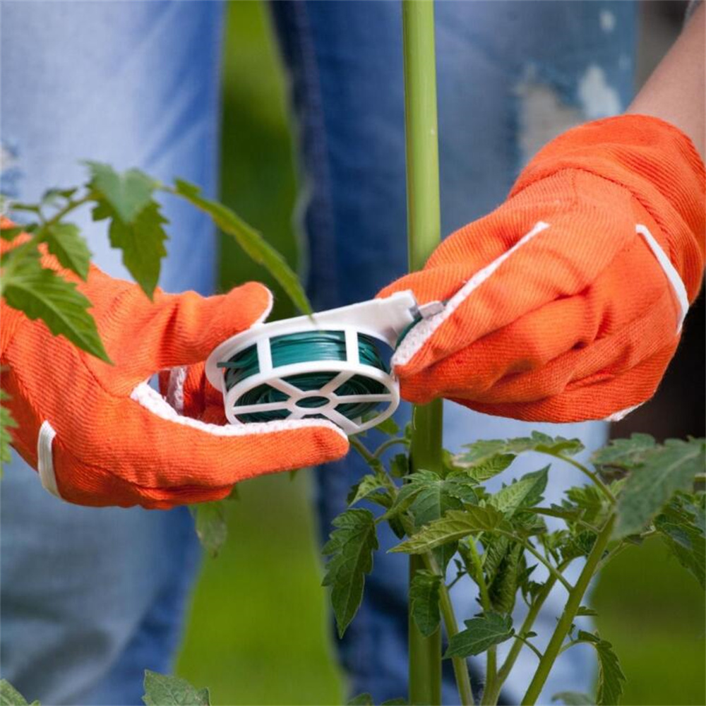 Cravatte da giardino, 3 pezzi, 50 mm, con taglierina per giardinaggio, casa, ufficio, multiuso (verde Cravatte da giardino, 3 pezzi, 50 mm, con taglierina per giardinaggio, casa, ufficio, multiuso (verde