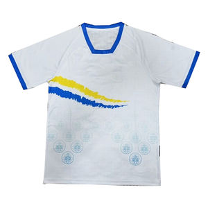 Hersteller Niedrig preis konzept Fußball trikot 2025/26 Fabrik großhandel Hochwertige Sport bekleidung Kongo lesische Fußball trikots - Product Image 3