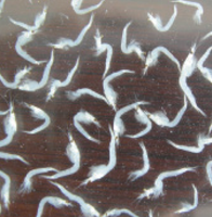 Nourriture pour poissons en gros, 100% naturelle, gammarus lyophilisé