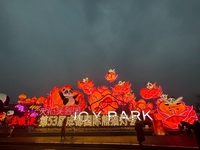Außen Led chinesische Blumenlaterne für Festivaldekoration Seiden chinesische Laternen